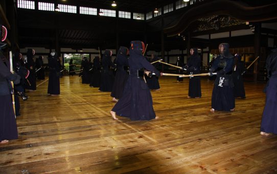 世界の剣道人口が増加傾向の中、日本の剣道人口が減る理由は？